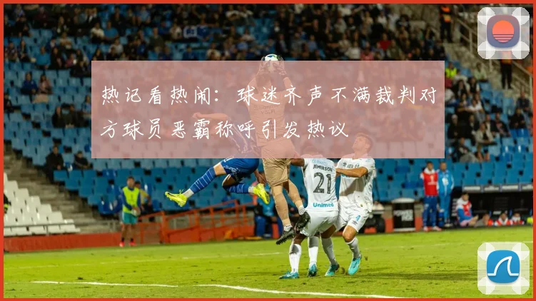 热记看热闹：球迷齐声不满裁判对方球员恶霸称呼引发热议
