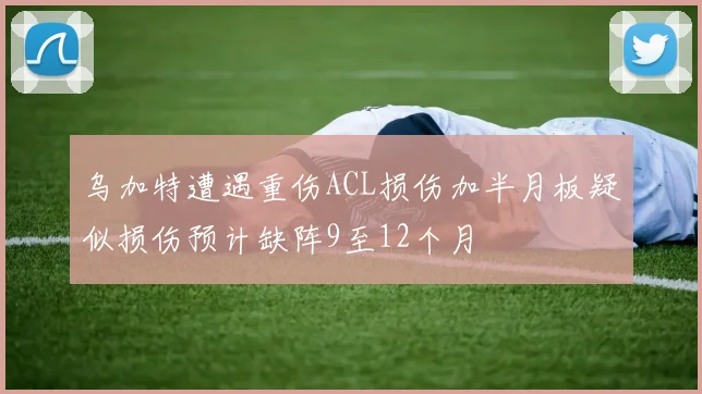 乌加特遭遇重伤ACL损伤加半月板疑似损伤预计缺阵9至12个月