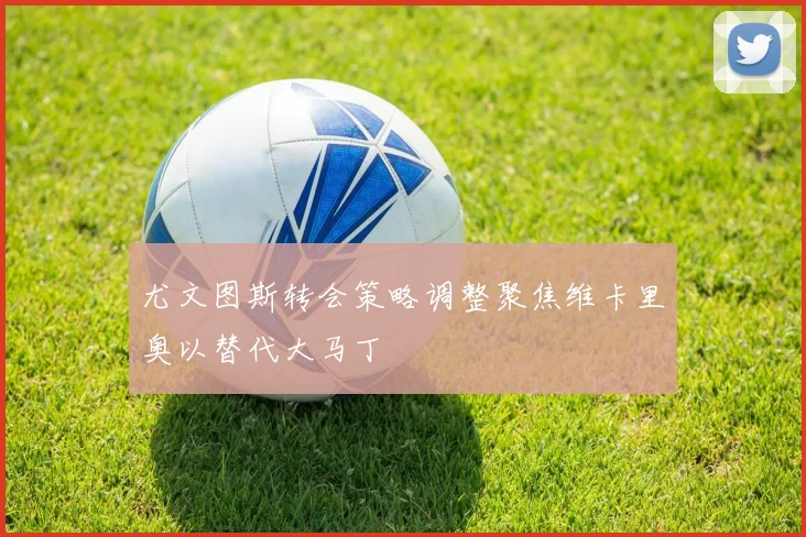 尤文图斯转会策略调整聚焦维卡里奥以替代大马丁
